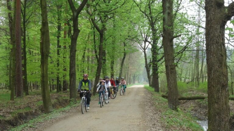 Wycieczka rowerowa
