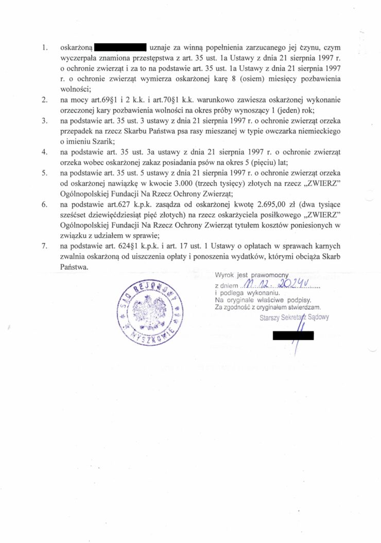 Poznaj historię Szarika i daj mu kochający dom!