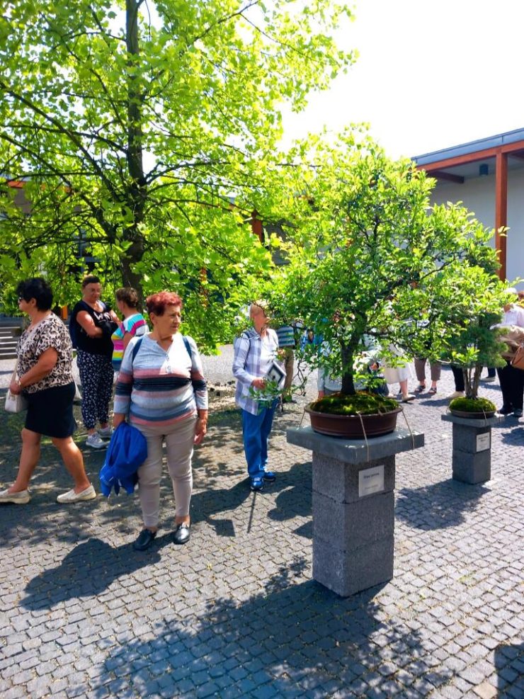 Gminna Akademia Seniora odkrywa Tarnowskie Skarby