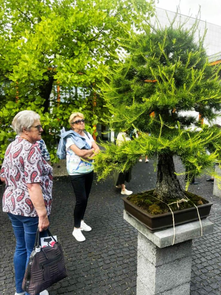 Gminna Akademia Seniora odkrywa Tarnowskie Skarby