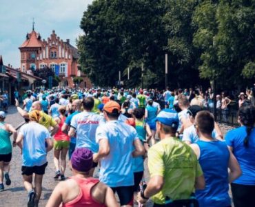 XVII Bieg w pogoni za żubrem w Niepołomicach