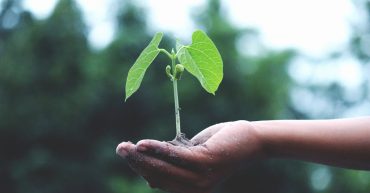 Konkurs na Klimatycznego Człowieka Roku 2025