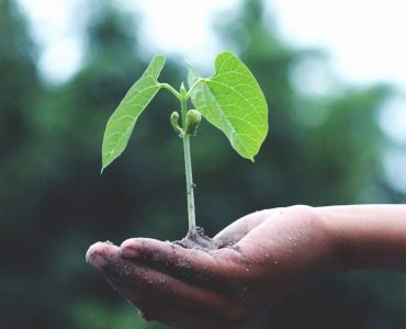 Konkurs na Klimatycznego Człowieka Roku 2025