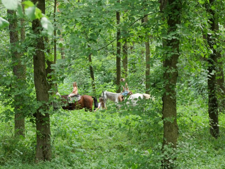 Piknik kulinarny w Gdowie: smak i tradycja w jednym miejscu
