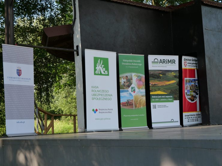 Piknik kulinarny w Gdowie: smak i tradycja w jednym miejscu