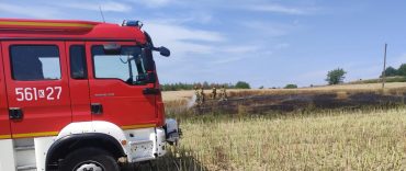 Pożar zboża w Szczygłowie: szybka reakcja straży pożarnej