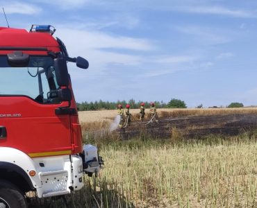 Pożar zboża w Szczygłowie: szybka reakcja straży pożarnej