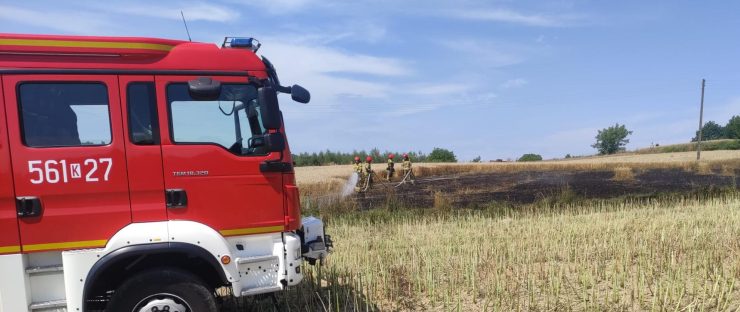 Pożar zboża w Szczygłowie: szybka reakcja straży pożarnej