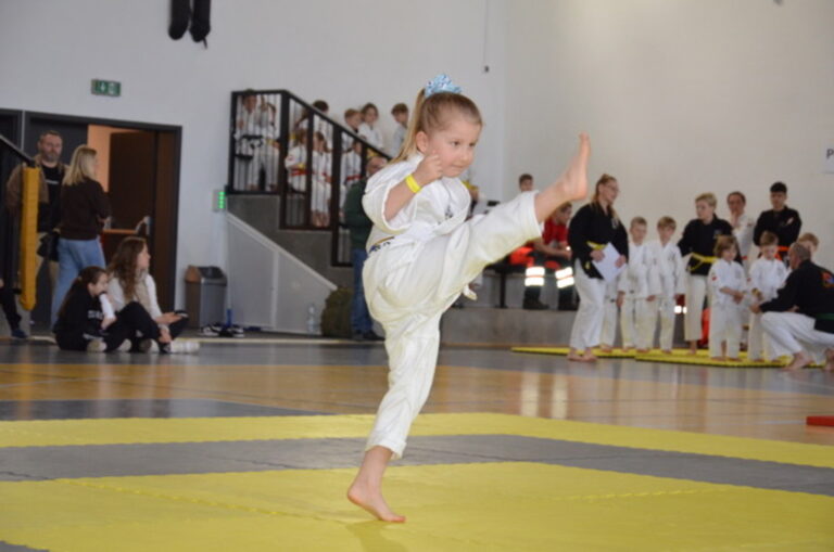 Pierwszy turniej MUSA Challenge w Hwa Rang Do Polska już za nami