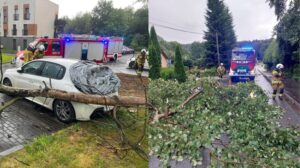 Powalone drzewa, uszkodzony samoch&oacute;d i zerwane linie. Skutki burzy w powiecie wielickim