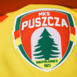Nie zagrali w Siedlcach. Puszcza zapewni kibicom bezpłatny transport