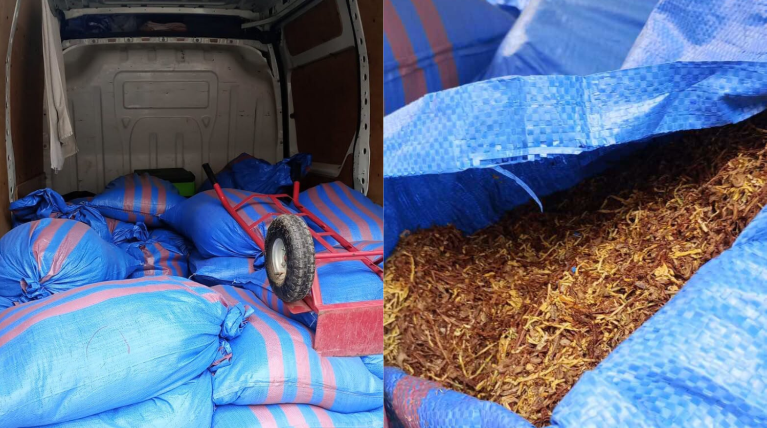 Proszowice. Policjanci zatrzymali kierowcę Renault, kt&oacute;ry przewoził 576,9 kg tytoniu bez akcyzy